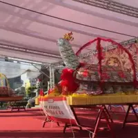 祝壽烏龜實拍圖 05